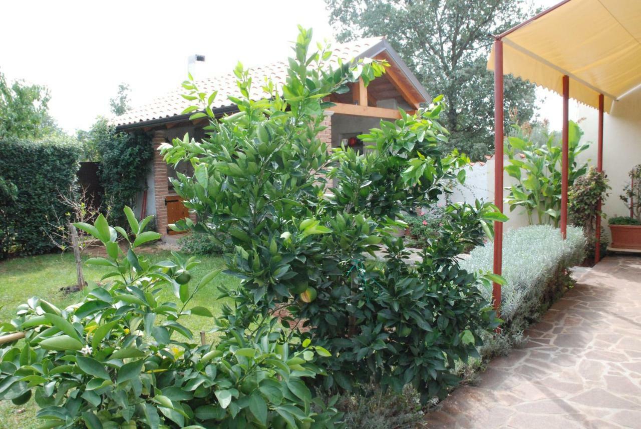 Apartmani Radin Rosini Ngoại thất bức ảnh